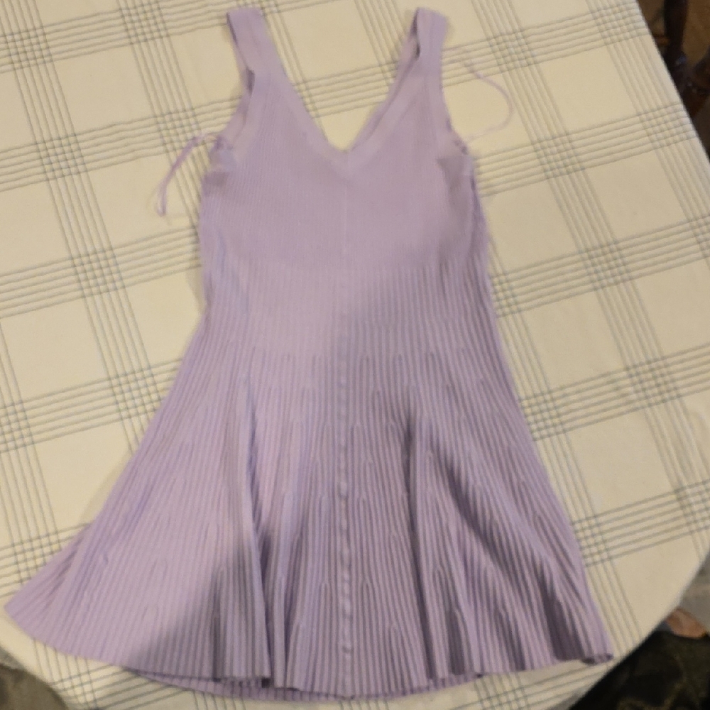 Express Lavender Mini Dress - Picture 5 of 5